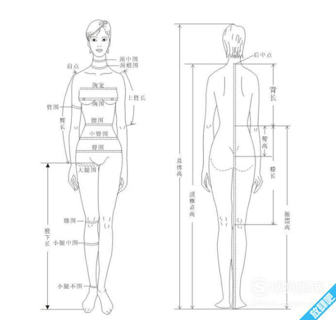 女生标准身材的黄金比例