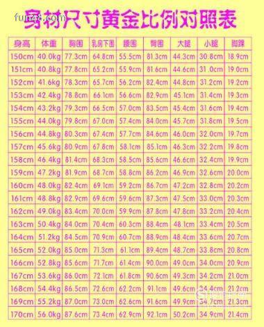 女生标准身材的黄金比例