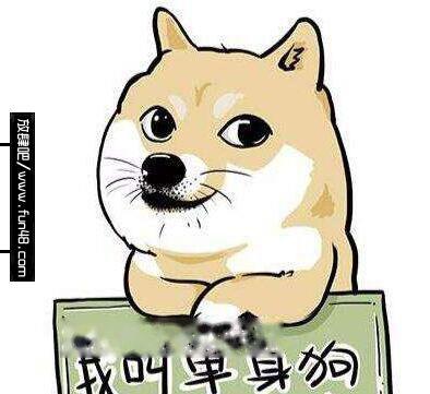 撒狗粮什么意思