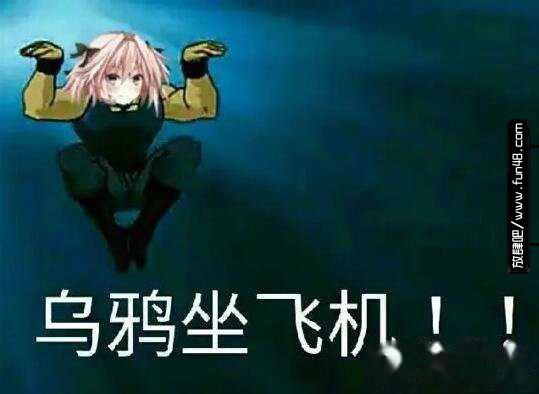 乌鸦坐飞机什么梗?乌鸦坐飞机什么梗fgo阿福表情包!
