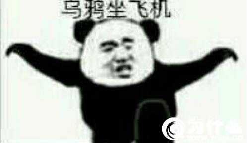 乌鸦坐飞机什么梗?乌鸦坐飞机什么梗fgo阿福表情包!