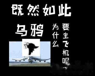 乌鸦坐飞机什么梗?乌鸦坐飞机什么梗fgo阿福表情包!