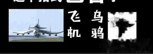 乌鸦坐飞机什么梗?乌鸦坐飞机什么梗fgo阿福表情包!