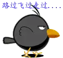 乌鸦坐飞机什么梗?乌鸦坐飞机什么梗fgo阿福表情包!