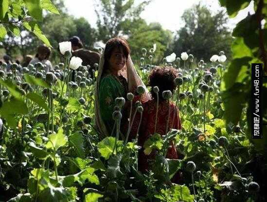 金三角为什么称为三不管？金三角、银三角、黑三角、金新月是哪？