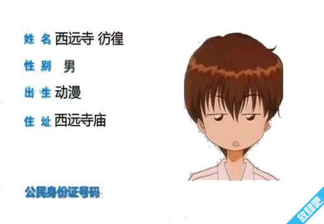 知道名字查询身份证号码