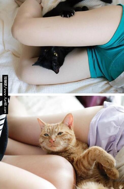 给你们看美女的咪咪