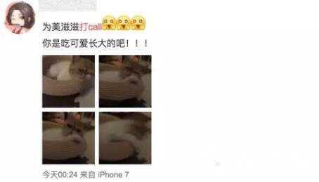 打call是什么意思，疯狂打call意思是应援加油