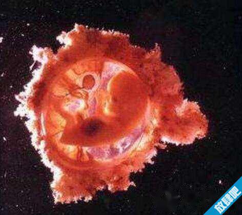 鬼节出生的人好吗，鬼节出生的人叫天胎