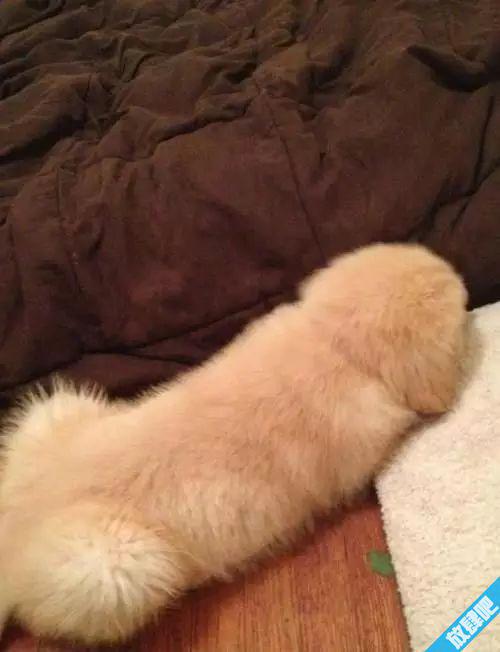 那些第一眼就会看污的图 不纯洁的人就会邪恶