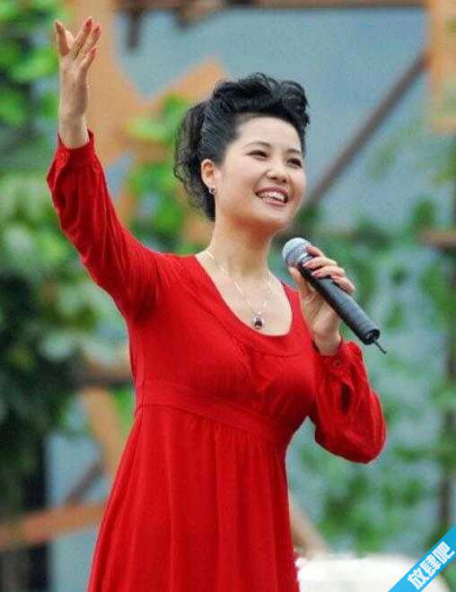 李双江梦鸽离婚了吗?李双江儿子李天一为什么被捕?