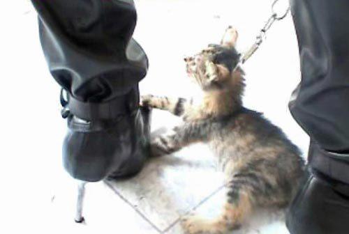 盘点互联网近年来十大著名人肉搜索事件