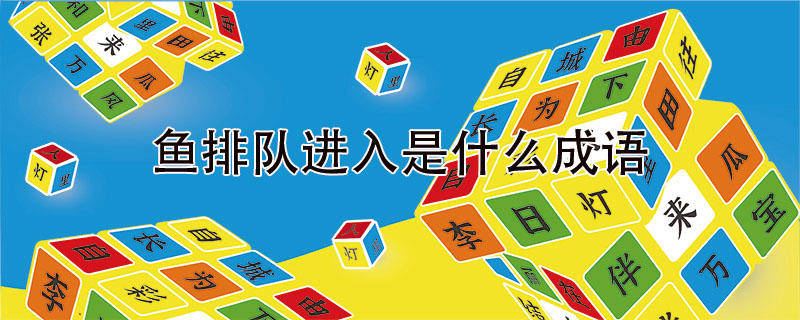 鱼排队进入是什么成语