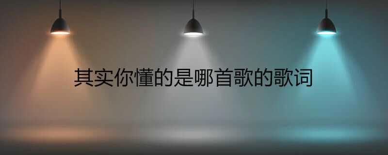 其实你懂的是哪首歌的歌词