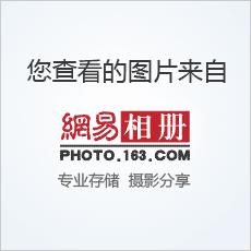 周海媚老公-周海媚几个老公
