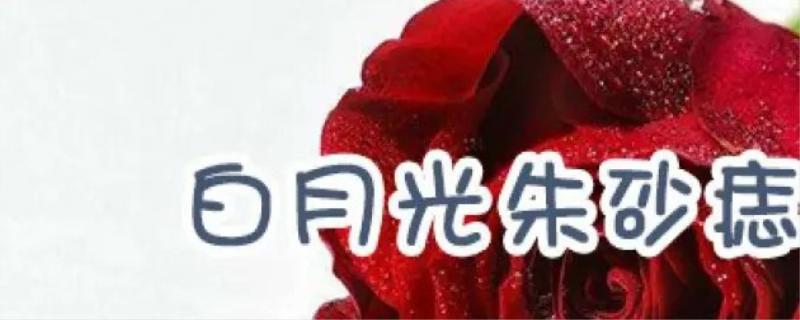 张爱玲白月光朱砂痣原话怎么说
