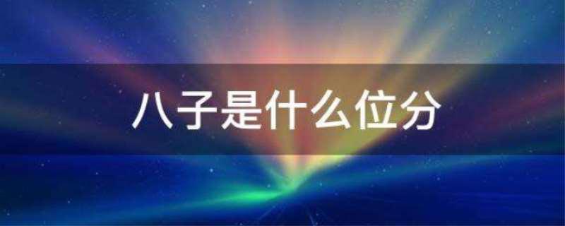 八子是什么位分，八子等同于清朝的什么位分