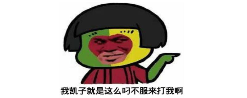 凯子是什么意思 凯子的由来
