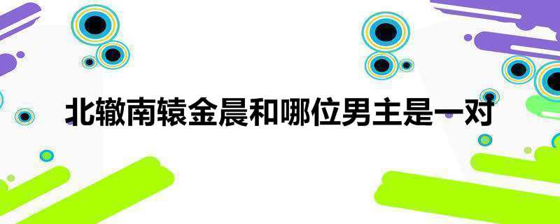 北辙南辕金晨和哪位男主是一对