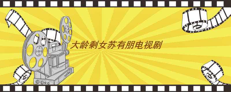 大龄剩女苏有朋电视剧