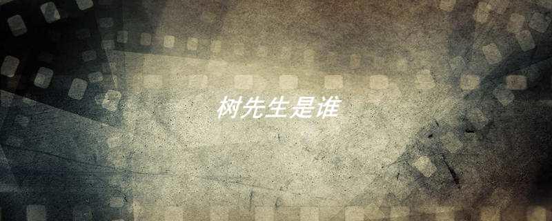 树先生是谁