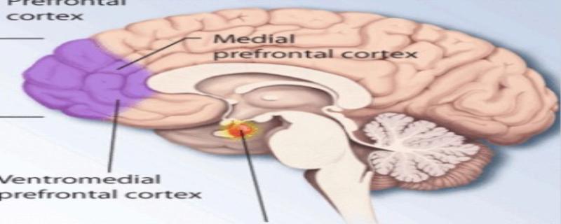 ptsd是什么梗,ptsd网络用语