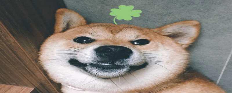 doge是什么意思，doge怎么出现的