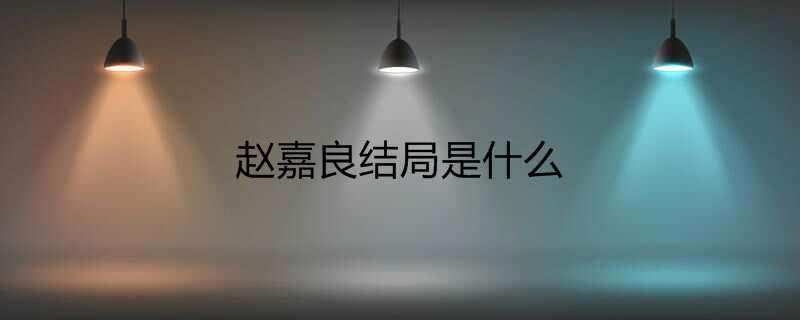 赵嘉良结局是什么