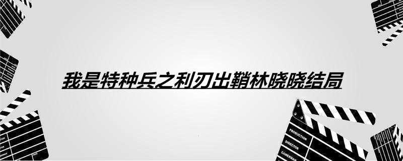 我是特种兵之利刃出鞘林晓晓结局
