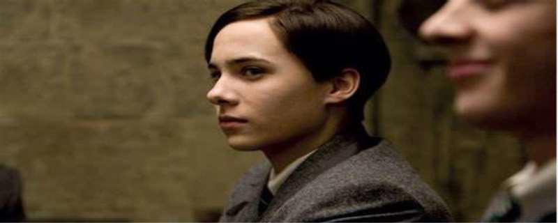 伏地魔的鼻子怎么了 伏地魔为什么要杀哈利波特的父母