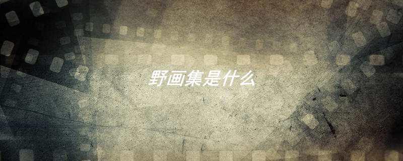 野画集是什么