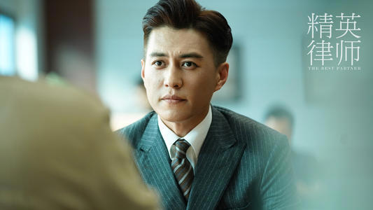 《精英律师》影视剧简介