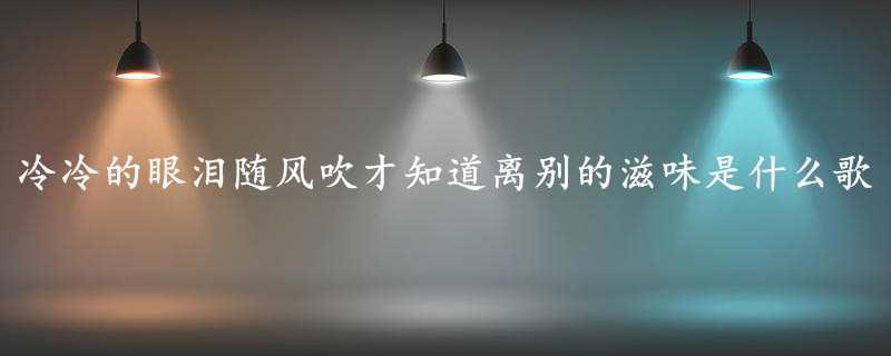 冷冷的眼泪随风吹才知道离别的滋味是什么歌