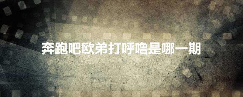 奔跑吧欧弟打呼噜是哪一期