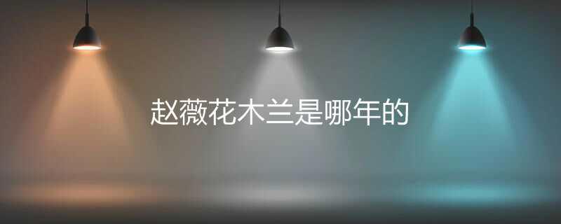 赵薇花木兰是哪年的