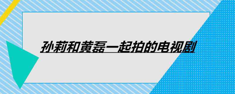 孙莉和黄磊一起拍的电视剧