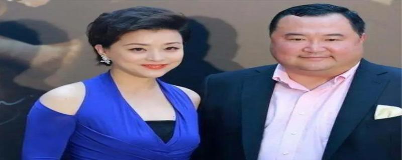 杨澜吴征是什么关系 杨澜吴征什么时候结婚的