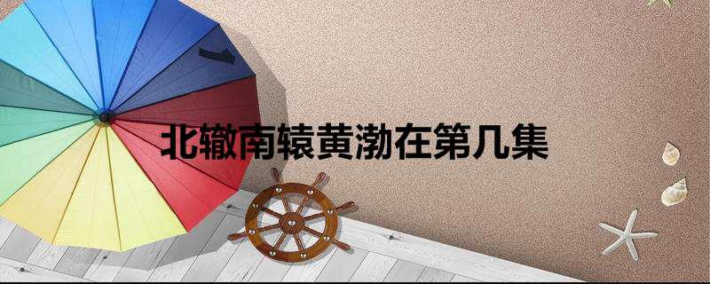 北辙南辕黄渤在第几集