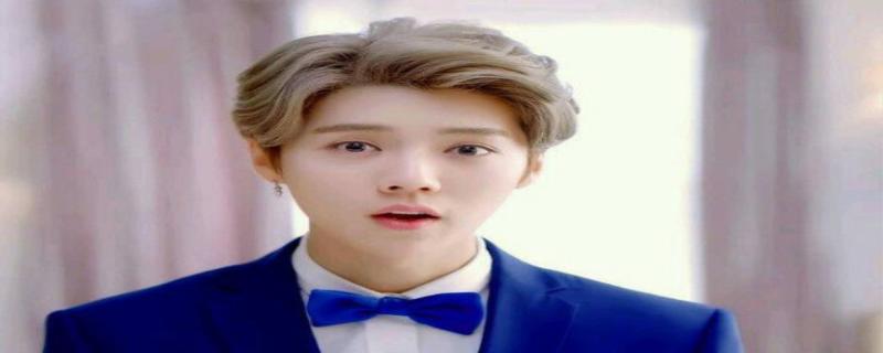 鹿晗为什么不坐飞机,鹿晗是真名还是艺名