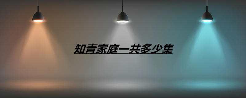 知青家庭一共多少集