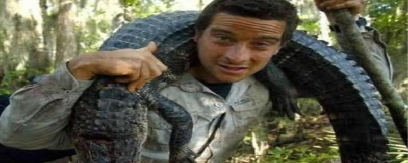 荒野求生第一季谁被吃了，荒野求生贝爷是真吃虫子吗