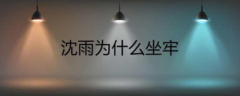 沈雨为什么坐牢