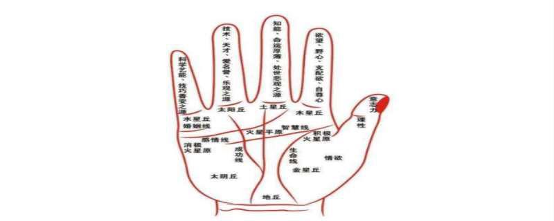 通天纹是什么意思 通天纹长什么样