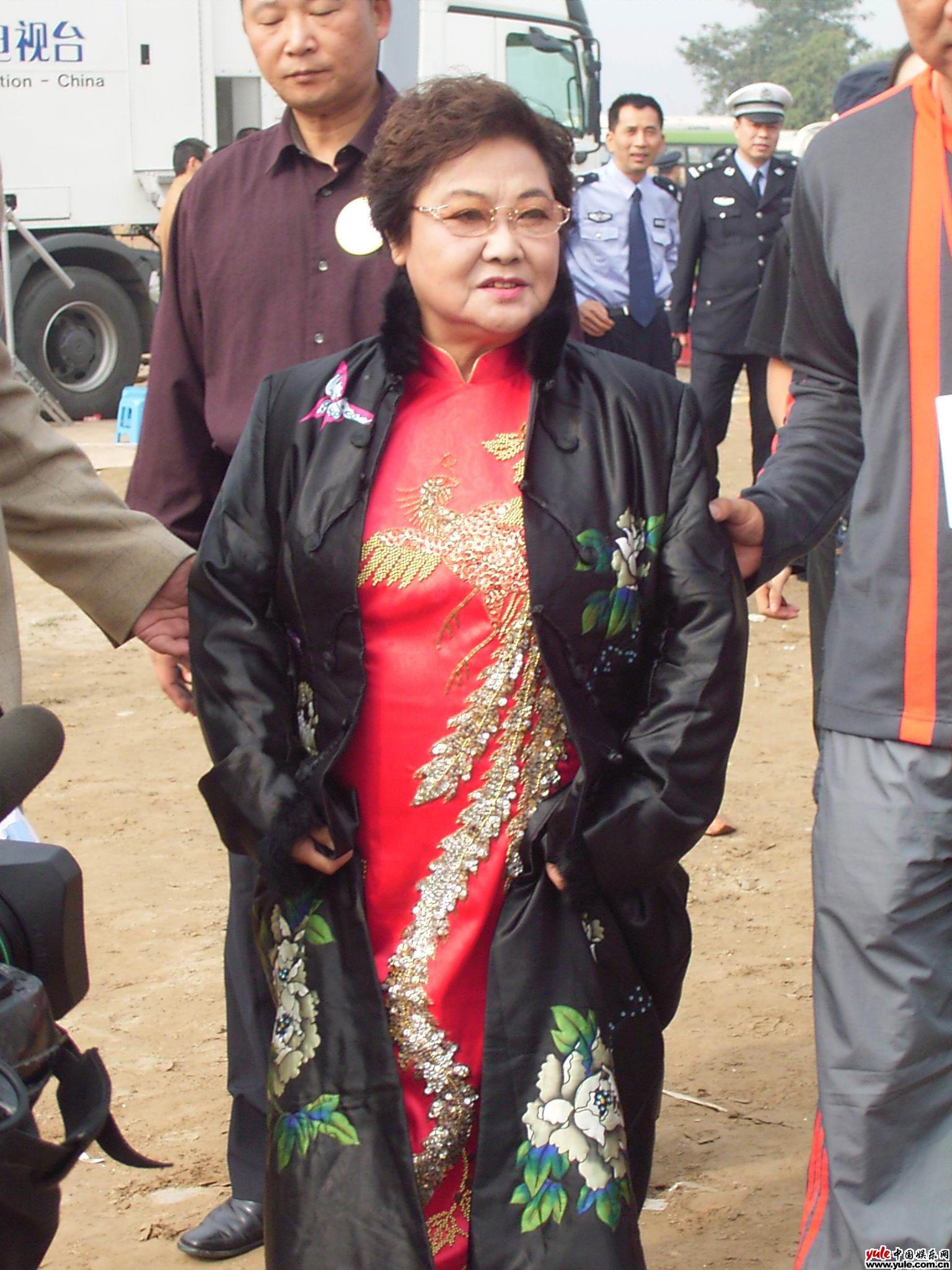 郭兰英简历及个人资料-郭兰英的剧情简介