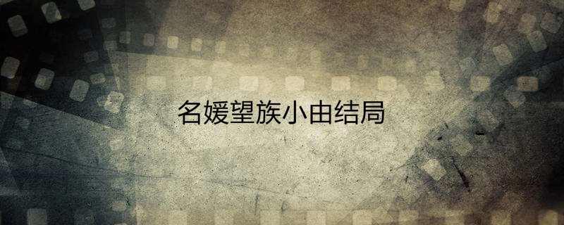 名媛望族小由结局