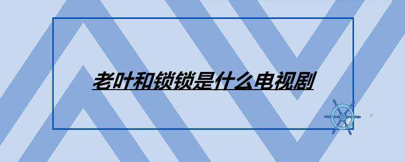 老叶和锁锁是什么电视剧