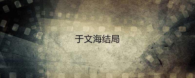 于文海结局