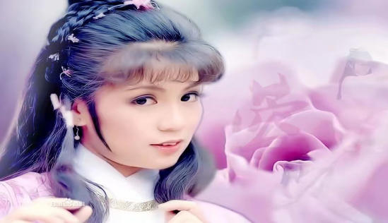 苗侨伟和他老婆,曾经婚姻不被人看好?
