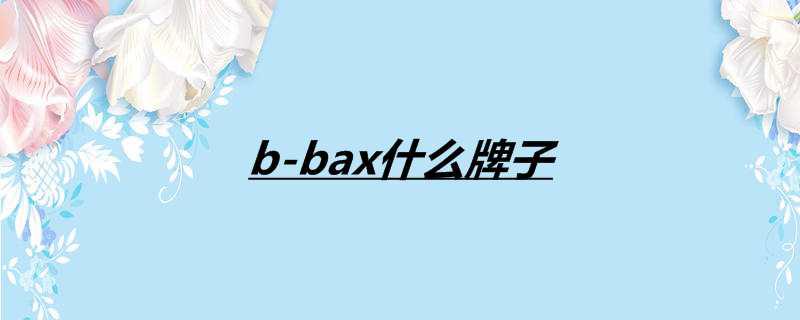 b-bax什么牌子
