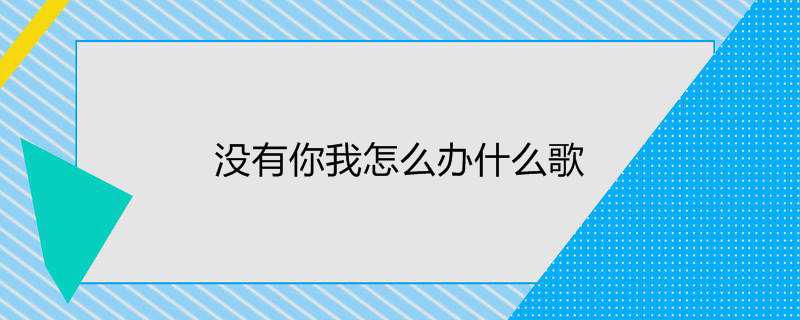 没有你我怎么办什么歌